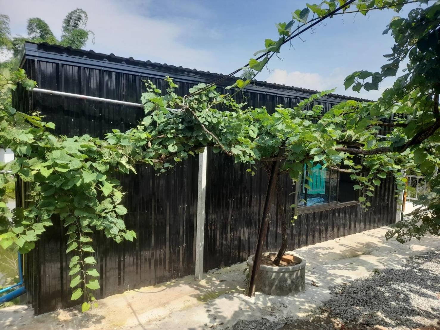 บ้านสวนปวิชญา เกษตรอินทรี ファン エクステリア 写真